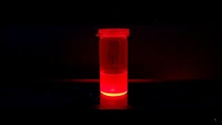 Simple Synthesis of Lead Halide Perovskite Quantum Dots [upl. by Reidid]