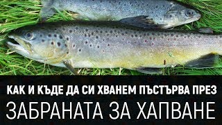 Kaк и къде да си хванем вкусна пъстърва през ЗАБРАНАТА [upl. by Occir]