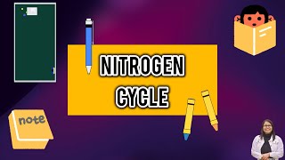 Nitrogen Cycle explained for students [upl. by Norabel869]