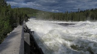 Wasserfall quotStorforsenquot in Schweden Waterfall quotStorforsenquot Sweden [upl. by Eilram]