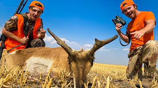 ANTELOPE HUNTING with a DECOY Spot amp Stalk [upl. by Harned716]