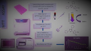 Assays and Technology  MTT Assay for toxicity studies [upl. by Doscher121]