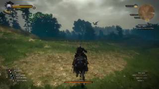 The Witcher 3  Wild Hunt  How to obtain cockatrice stomachs for alchemy [upl. by Walcoff]