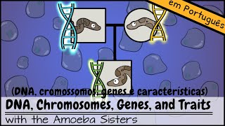 DNA cromossomos genes e características [upl. by Enilreug722]