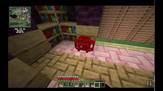 Mishmash SMP S1  Sebs dealing w villagers ft voices [upl. by Idnerb]