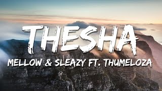 Mellow amp Sleazy  Thesha ft TumeloZA LeeMcKrazy TyroneDee TitoM Lyrics [upl. by Falda53]