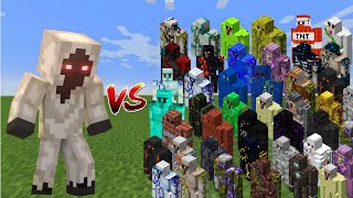 ENTITY 303 VS ALL EXTRA GOLEM FIGHT IN MINECRAFT  Mobs Battle [upl. by Ynney]