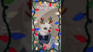 🎄Merry Christmas from Chihuahua Pep at Both Worldz amp Tricias Makeup World shorts viral trending [upl. by Aihsem915]