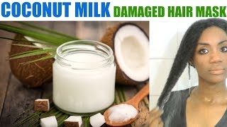 Coconut Oil amp Honey  Damaged Hair Mask  Fix Dry Hair Fast [upl. by Edlyn]