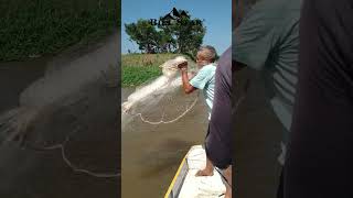 Pescador do Amazonas velhinho [upl. by Elohcan]