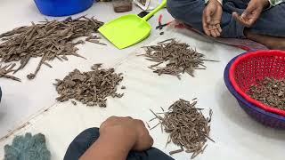 Agar Wood Islam Nagar Market [upl. by Eoj846]