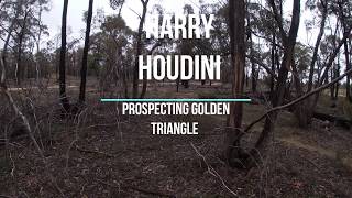 Gold Prospecting  Maryborough June 2020  Paddys ranges area [upl. by Cirde]