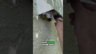 Essential Dryer Vent Cleaning Avoid Costly Damage dryerlintdiy [upl. by Ahmed]