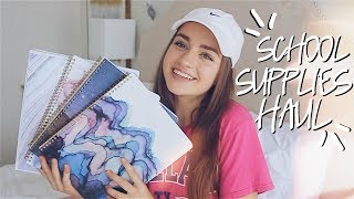 Aesthetic School Supplies Haul 2017 matching [upl. by Nacim845]