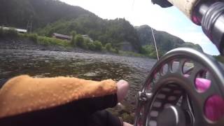 Salmon fishing on the Gaula River 2016  The take [upl. by Jestude]