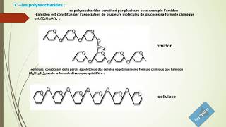 La nature chimique de la matière organique 1er bac science expérimental [upl. by Anika]