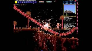 Terraria Invincibility Glitch  Calamity 321 Patched [upl. by Hekking]