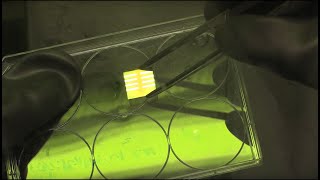 Constructing a perovskite solar cell [upl. by Ostler]