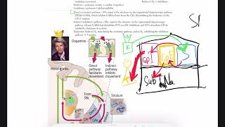 USMLE  Neurology Basal ganglia Direct and Indirect pathway Mnemonic [upl. by Sualocin721]