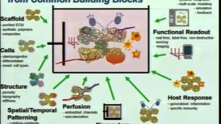 Demystifying Medicine 2014  DrugInduced Liver Injury Who What When and How [upl. by Hinkel715]