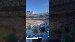 Oakland Athletics play final game at the Coliseum [upl. by Maxama]