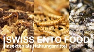 Swiss Ento Food – Essbare Insekten [upl. by Samale]