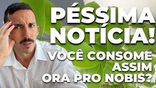 Consumo de Ora Pro NÃ³bis em CÃ¡psulas  Nutri Rodrigo Moreira [upl. by Dlaniger]