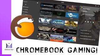 Lutris An Awesome Steam Alternative for ChromeOS and Linux  Installation Tutorial  App Overview [upl. by Papp944]
