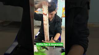 Riffle Fan  Anaconda magictricksvideos magic cardmagic cards huongdanaothuat ảothuật [upl. by Vera]