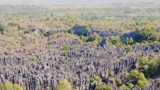 The Land of Thornes Tsingy de Bemaraha [upl. by Oicirbaf]