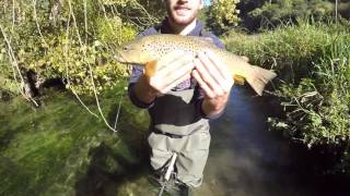 Brown trout fishing in France [upl. by Crissie]