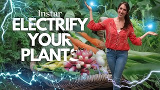 Electrify your Plants for Bigger Fruits and Vegetables [upl. by Efinnej52]