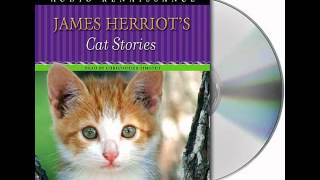 James Herriots Cat StoriesAudiobook Excerpt [upl. by Welby534]