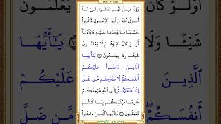 4956th video vertical  Quran Page 125  Mishary Al Afasi quran shorts holyquran recitation [upl. by Arraes389]