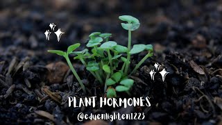 Plant hormones  Types of plant hormones Functions of plant hormones  Sites of plant hormones [upl. by Cori]