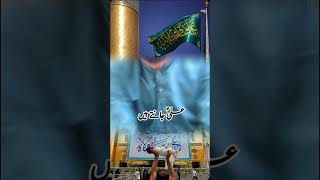 Malang hon Ali A S ka yaali haidermola najaf youtubeshorts explore foryou shorts اشتراك [upl. by Eolc]