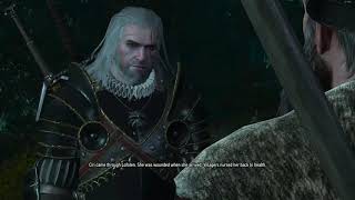 The Witcher 3  Talk to Ermion for Brothers in arms [upl. by Melisent]