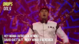 Afrojack Drops Only Tomorrowland 2016 [upl. by Ellehcar]