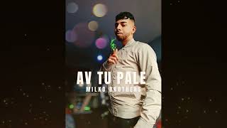 Milko Brothers  AV TU PALE AUDIO [upl. by Averat]