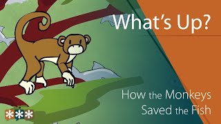 Whats Up – How the Monkeys Saved the Fish a Tanzanian folktale [upl. by Mathias]