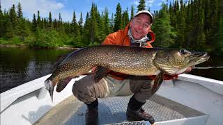 So many big pike in Mistassini Lake Quebec [upl. by Sucitivel605]