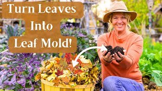 How to Make Leaf Mold Soil Amendment amp It’s MANY Benefits [upl. by Arorua]