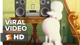 The Secret Life of Pets FULL MOVIE REVIEW  WHAT TO WATCH [upl. by Nnaid]