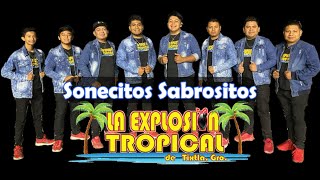 Sonecitos Sabrositos La Explosión Tropical Tixtla Gro [upl. by Vlada564]