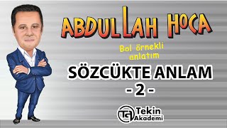 SÖZCÜKTE ANLAM 2 BOL ÖRNEKLİ KONU ANLATIMI [upl. by Zelma]