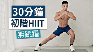 【初階】30分鐘 無跳躍HIIT 適合新手、大體重 [upl. by Yuu]