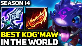 RANK 1 BEST KOGMAW IN SEASON 14  AMAZING GAMEPLAY  League of Legends [upl. by Valenka]