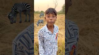 CHOTU KA VILAGE TIGER shorts FACTFIREKING [upl. by Sackey971]