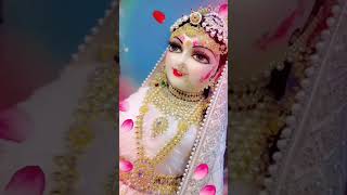 premanand Maharaj ki pravachan Radhe Radhe [upl. by Saltsman343]