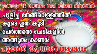 തേങ്ങവെള്ളത്തിൽ ഇതും കൂടി ചേർത്താൽ poppy vlogs malayalam [upl. by Strickland]